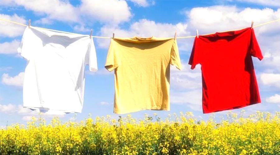 三伏天持續(xù)40天！金環(huán)電器提醒高溫天氣下晾曬衣物的弊端