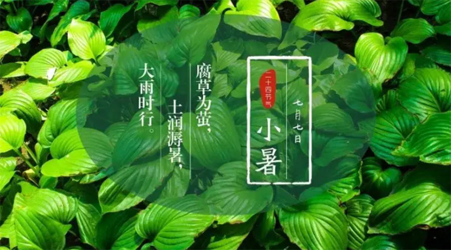 小暑時節(jié)來到！金環(huán)電器提醒大家要注意的事項