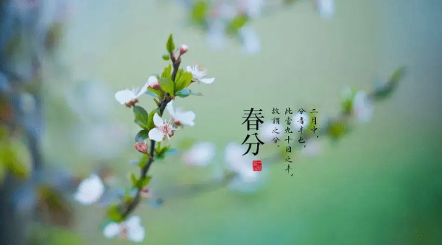 春分雨水多易生菌！金環(huán)電器提醒你衣物要注意處理